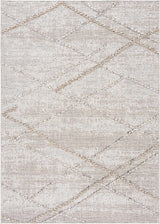 Baqer Bone & Tan Textured Performance Outdoor Rug - Clearance - Ornate Home