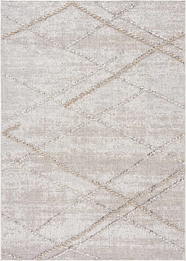 Baqer Bone & Tan Textured Performance Outdoor Rug - Clearance - Ornate Home