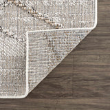 Baqer Bone & Tan Textured Performance Outdoor Rug - Clearance - Ornate Home