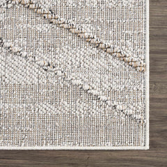 Baqer Bone & Tan Textured Performance Outdoor Rug - Clearance - Ornate Home