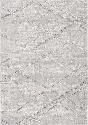 Baqer Bone & Taupe Textured Performance Outdoor Rug - Clearance - Ornate Home