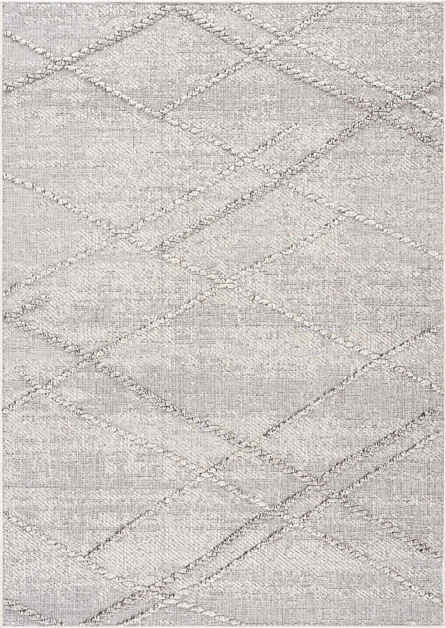 Baqer Bone & Taupe Textured Performance Outdoor Rug - Clearance - Ornate Home