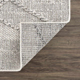 Baqer Bone & Taupe Textured Performance Outdoor Rug - Clearance - Ornate Home