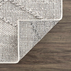 Baqer Bone & Taupe Textured Performance Outdoor Rug - Clearance - Ornate Home