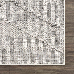 Baqer Bone & Taupe Textured Performance Outdoor Rug - Clearance - Ornate Home