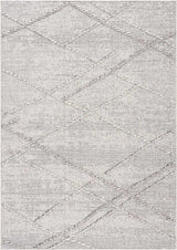 Baqer Bone & Taupe Textured Performance Rug - Clearance - Ornate Home