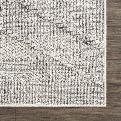 Baqer Bone & Taupe Textured Performance Rug - Clearance - Ornate Home