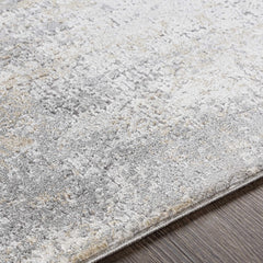 Baranduda Abstract Gray Luxe Rug - Clearance - Ornate Home