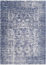 Barboursville Area Rug - Clearance - Ornate Home