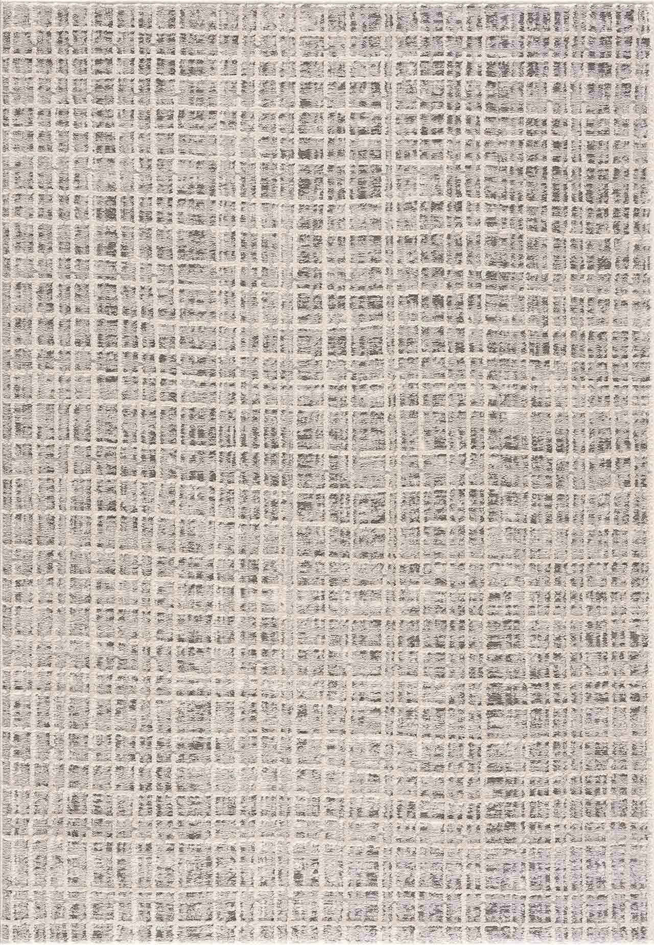 Barbra Gray Area Rug - Ornate Home