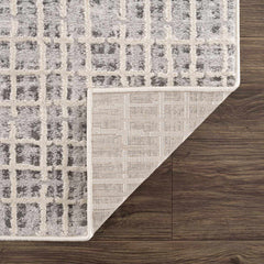 Barbra Gray Area Rug - Ornate Home