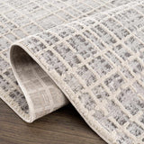 Barbra Gray Area Rug - Ornate Home