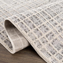 Barbra Gray Area Rug - Ornate Home