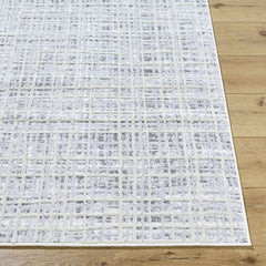 Barbra Gray Area Rug - Ornate Home