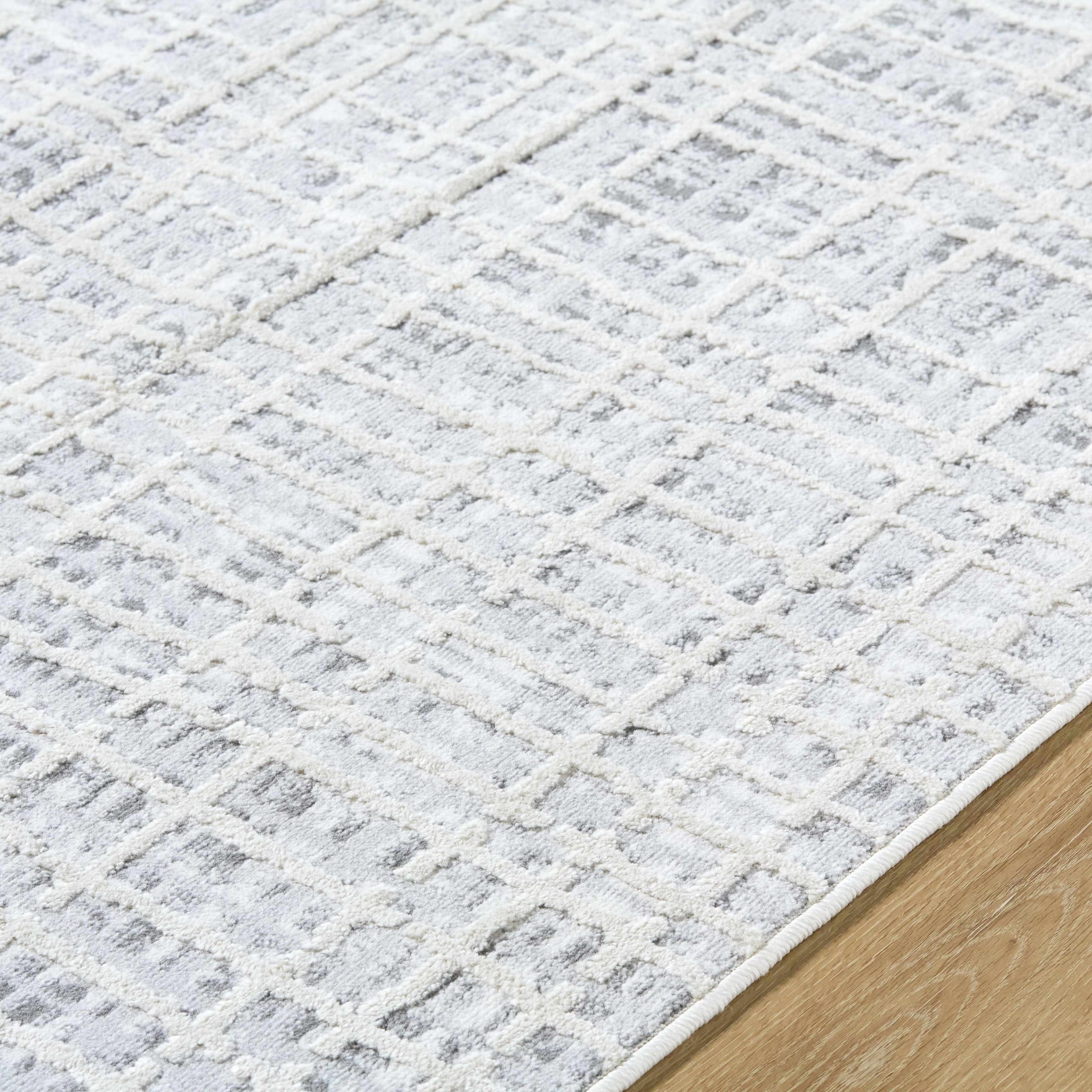 Barbra Gray Area Rug - Ornate Home