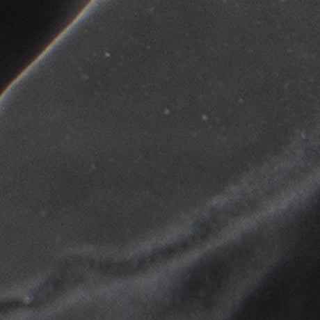 Barlee Black Sculpture (Set of 2) - Ornate Home