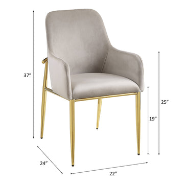 Barnard Gray Velvet & Gold Finish Side Chair (Set of 2) - Ornate Home