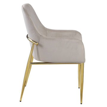Barnard Gray Velvet & Gold Finish Side Chair (Set of 2) - Ornate Home