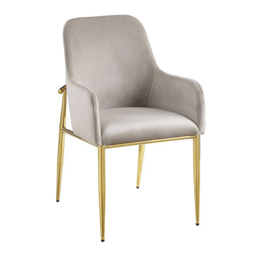 Barnard Gray Velvet & Gold Finish Side Chair (Set of 2) - Ornate Home