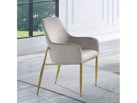 Barnard Gray Velvet & Gold Finish Side Chair (Set of 2) - Ornate Home