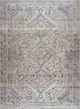 Barny Tan Washable Area Rug - Ornate Home