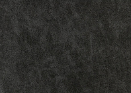 Barre Gray 2-Piece Sectional with Pull-Out Bed And Right Chaise - Ornate Home