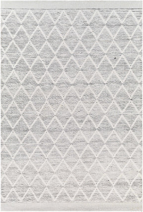 Bartimaeus Area Rug - Clearance - Ornate Home