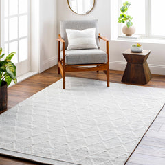 Bartimaeus Area Rug - Clearance - Ornate Home