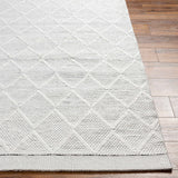 Bartimaeus Area Rug - Clearance - Ornate Home