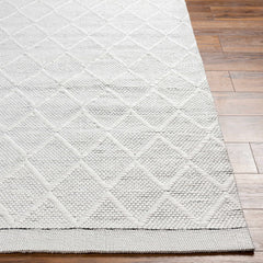 Bartimaeus Area Rug - Clearance - Ornate Home