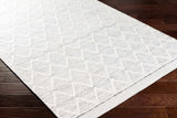 Bartimaeus Area Rug - Clearance - Ornate Home
