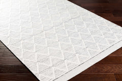 Bartimaeus Area Rug - Clearance - Ornate Home