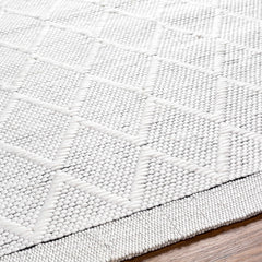 Bartimaeus Area Rug - Clearance - Ornate Home