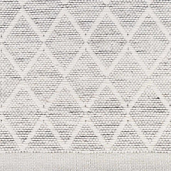 Bartimaeus Area Rug - Clearance - Ornate Home