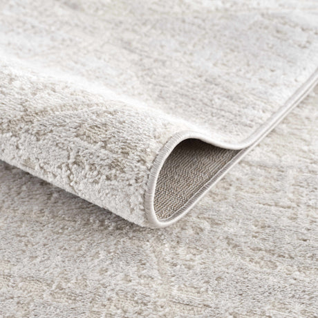 Basia Area Rug - Clearance - Ornate Home