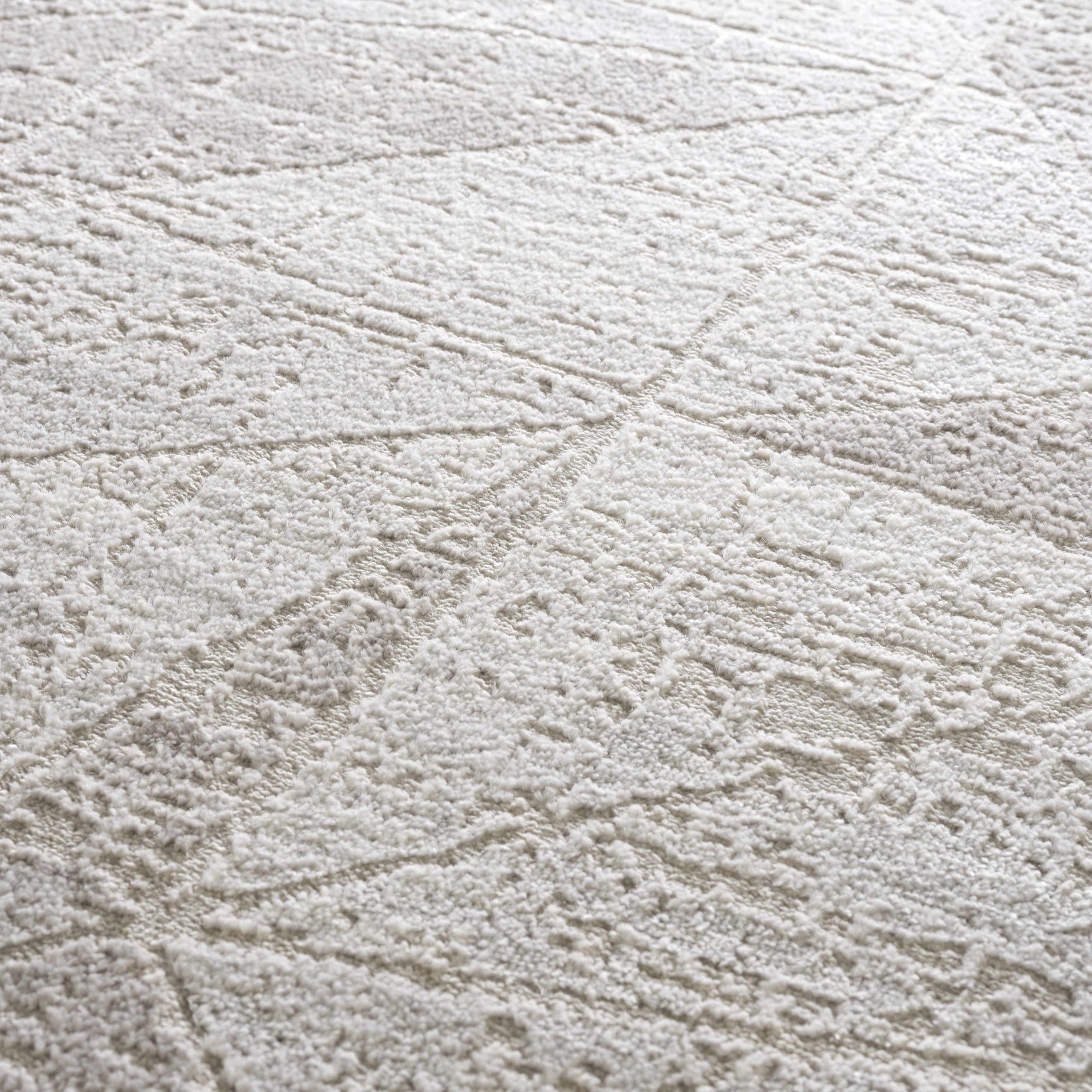 Basia Area Rug - Clearance - Ornate Home