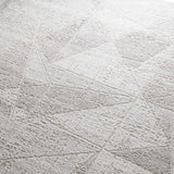 Basia Area Rug - Clearance - Ornate Home