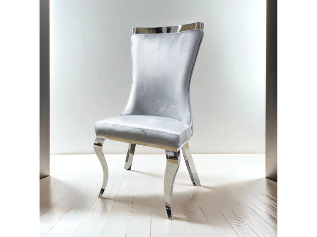 Basilicata Silver/Gray Chair (Set of 2) - Ornate Home