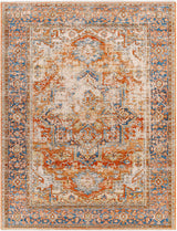 Basim Area Rug - Clearance - Ornate Home