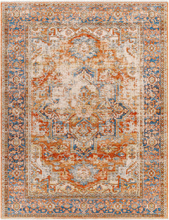 Basim Area Rug - Clearance - Ornate Home