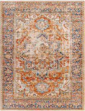Basim Area Rug - Clearance - Ornate Home