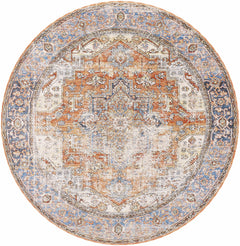 Basim Area Rug - Clearance - Ornate Home