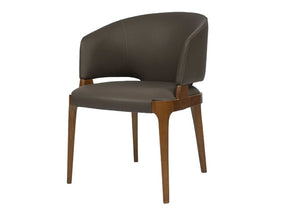 Baskin Brown & Walnut Arm Dining Chair (Set of 2) - Ornate Home