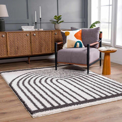 Bauer Plush Black Rainbow Rug - Clearance - Ornate Home