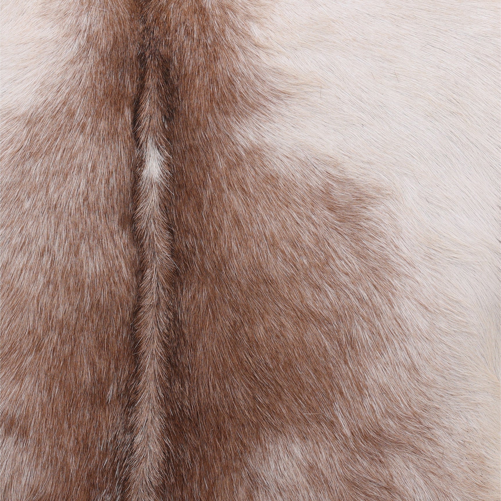 Bautista Brown Occasional Chair - Ornate Home