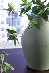 Baychester Antique Green Vase (Online Special Price) - Ornate Home