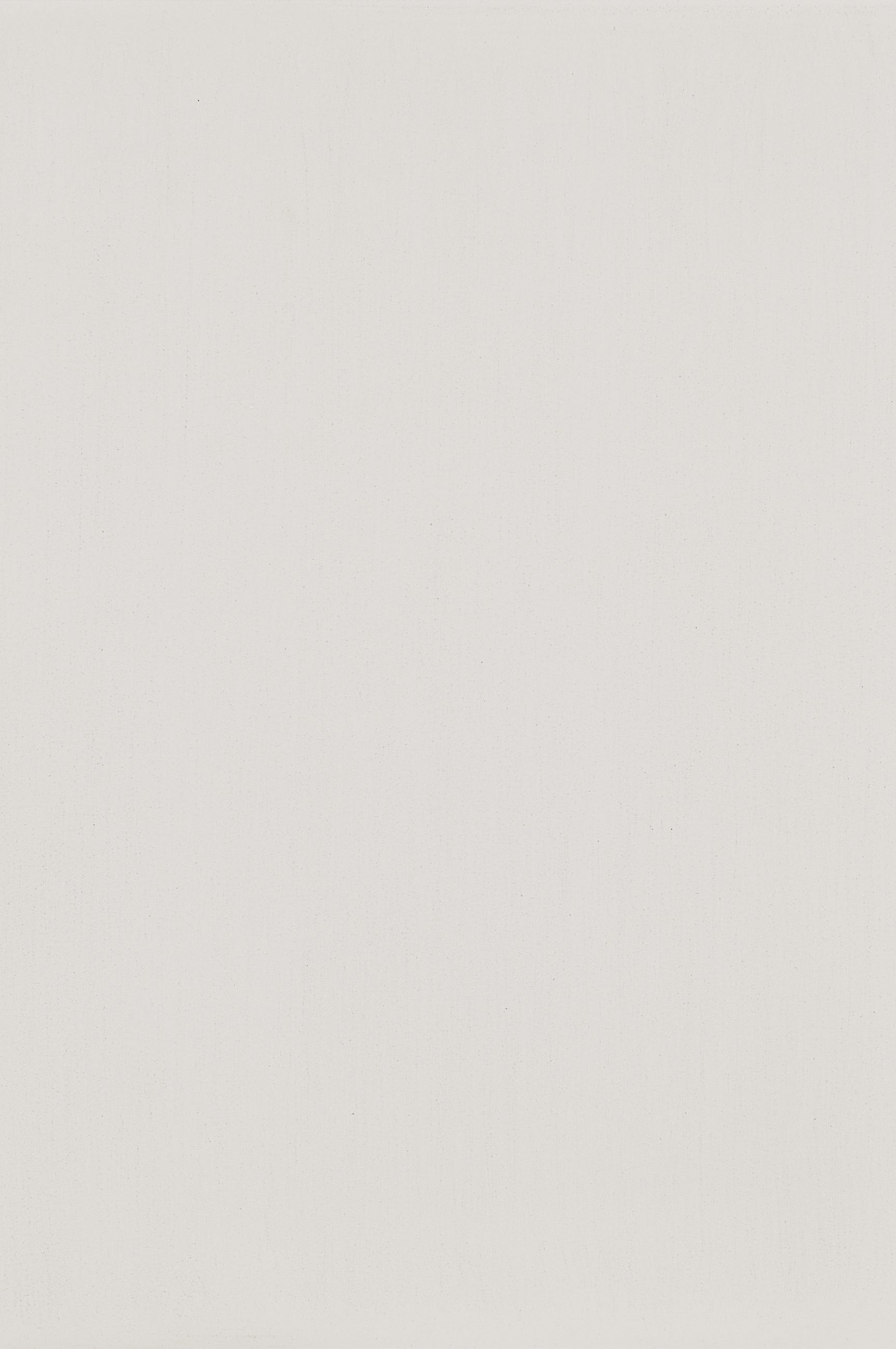 Baylesford Antique White / Gray Queen Bed - Ornate Home