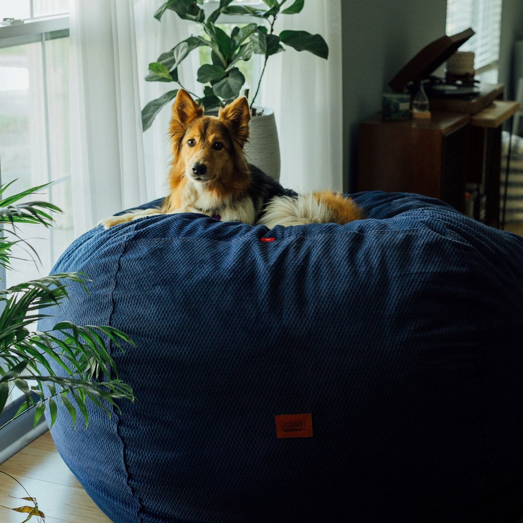 Bean Bag - King - Chenille - Ornate Home
