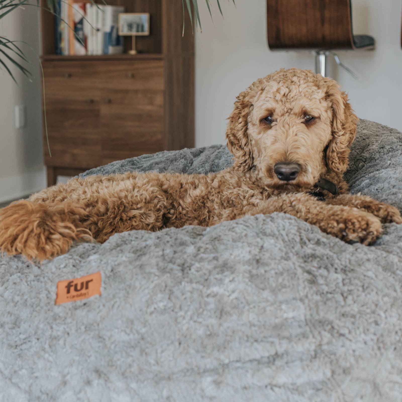 Bean Bag - King - Faux Fur - Ornate Home