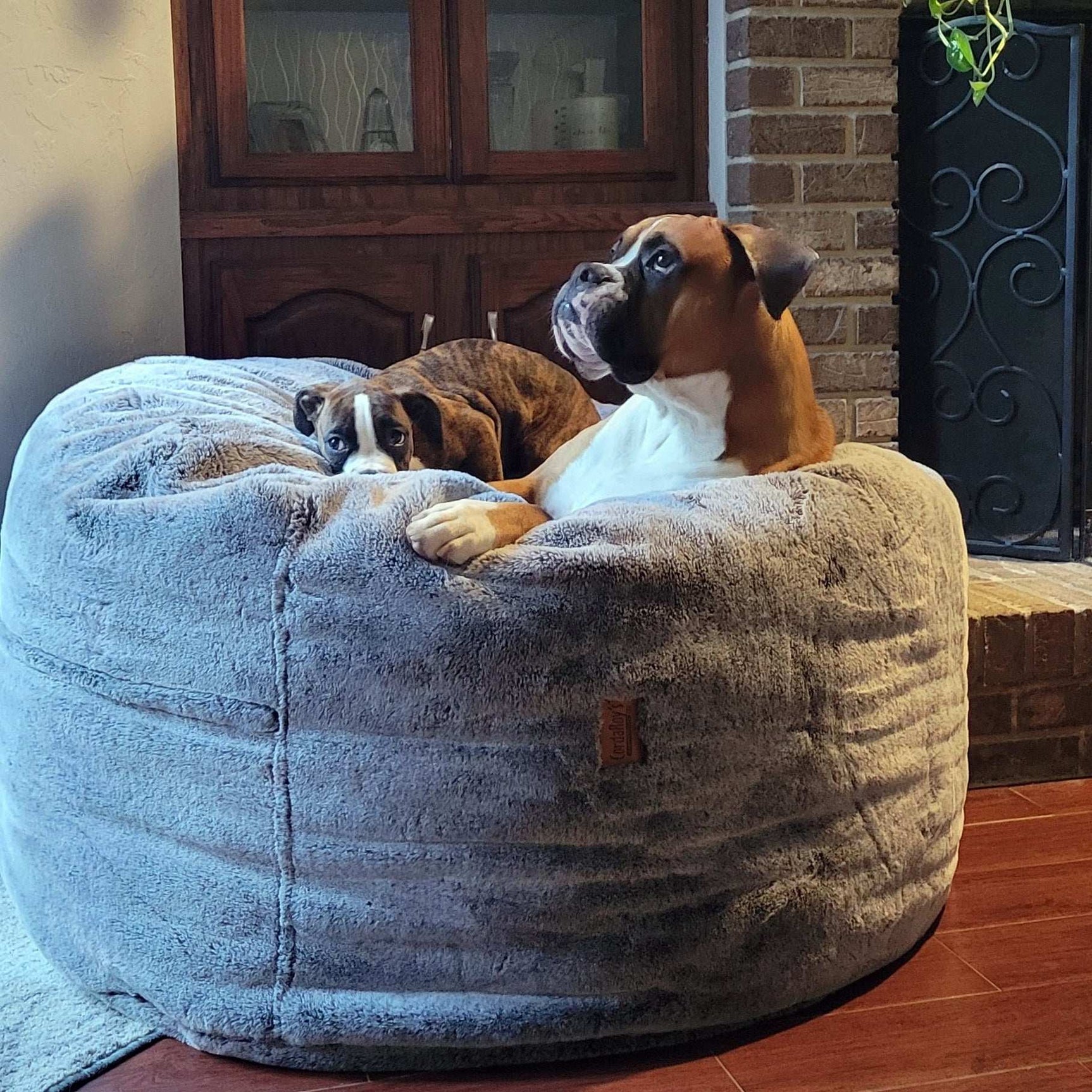 Bean Bag - Queen - Chinchilla - Ornate Home
